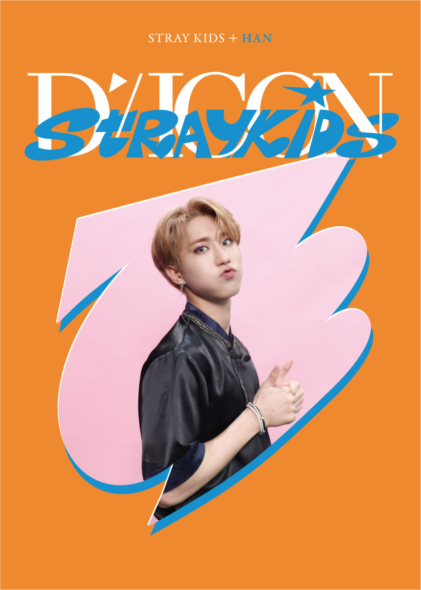 Cover of photocard collection with funky abstract graphics in orange and blue, a photo of Han, and text that says “Stray Kids + Han” and “Dicon Stray Kids”
