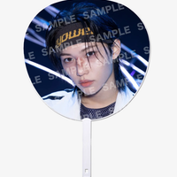 Front of image picket featuring Felix