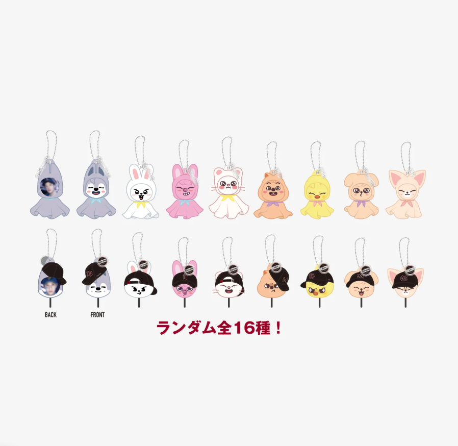 Illustration of all the SKZOO characters in mini-picket form