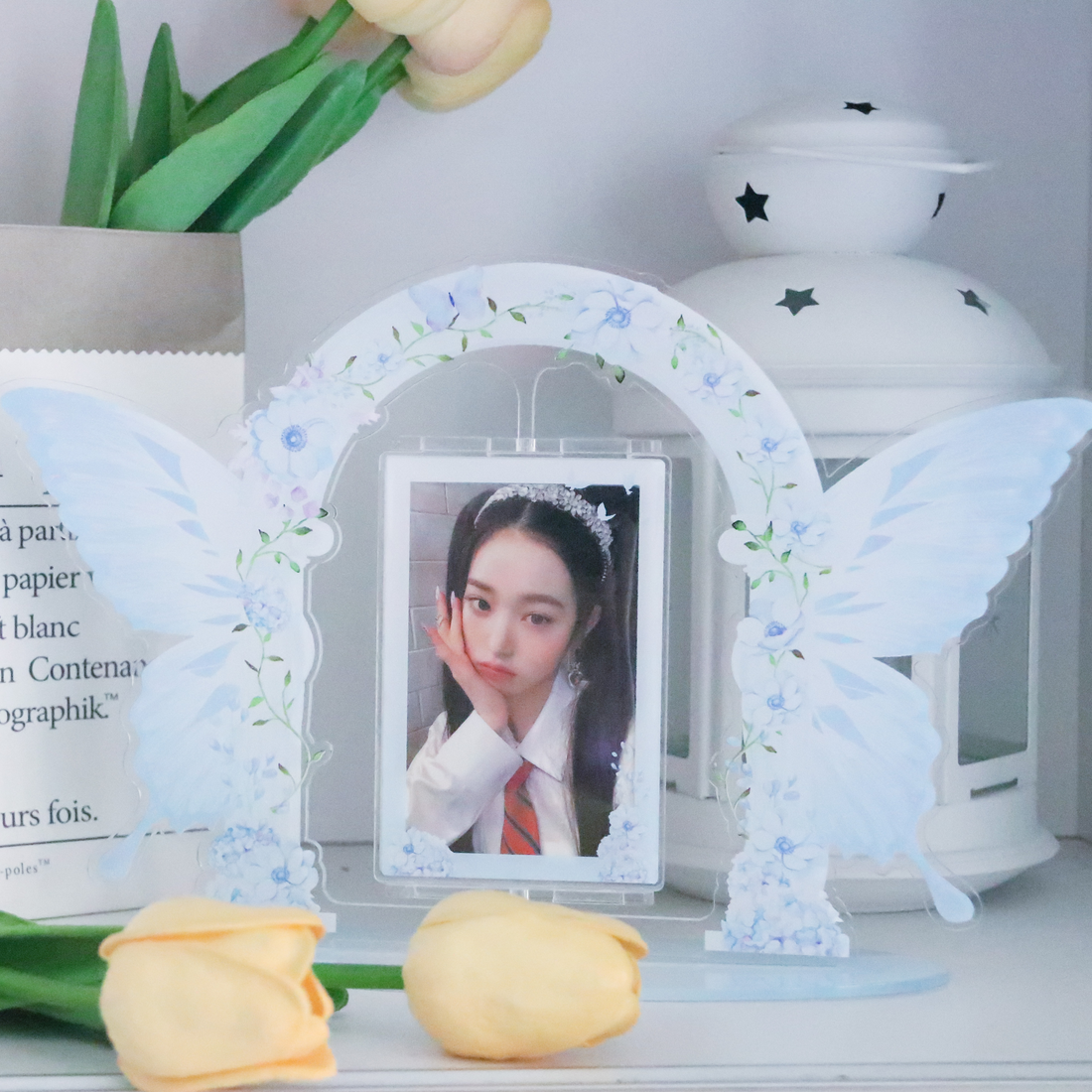 Spinning Photocard Display - Butterfly Garden