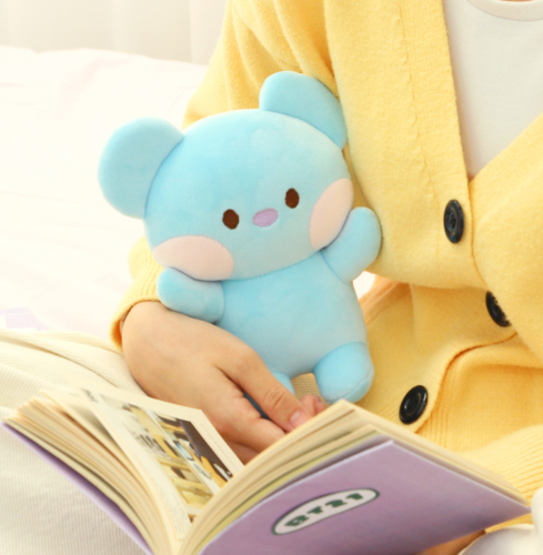 BT21 minini Soulmate Cushion