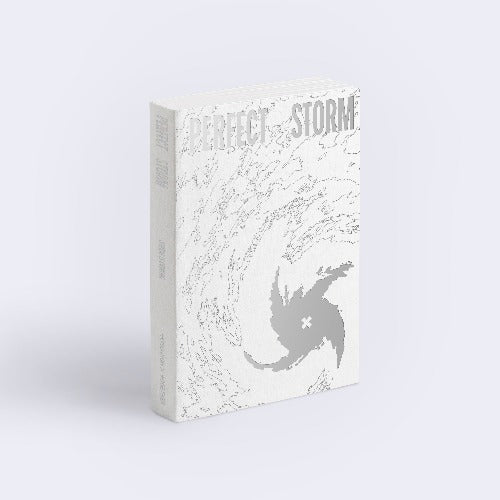 PERFECT STORM [9th Mini] [STORM IS COMING Ver.]