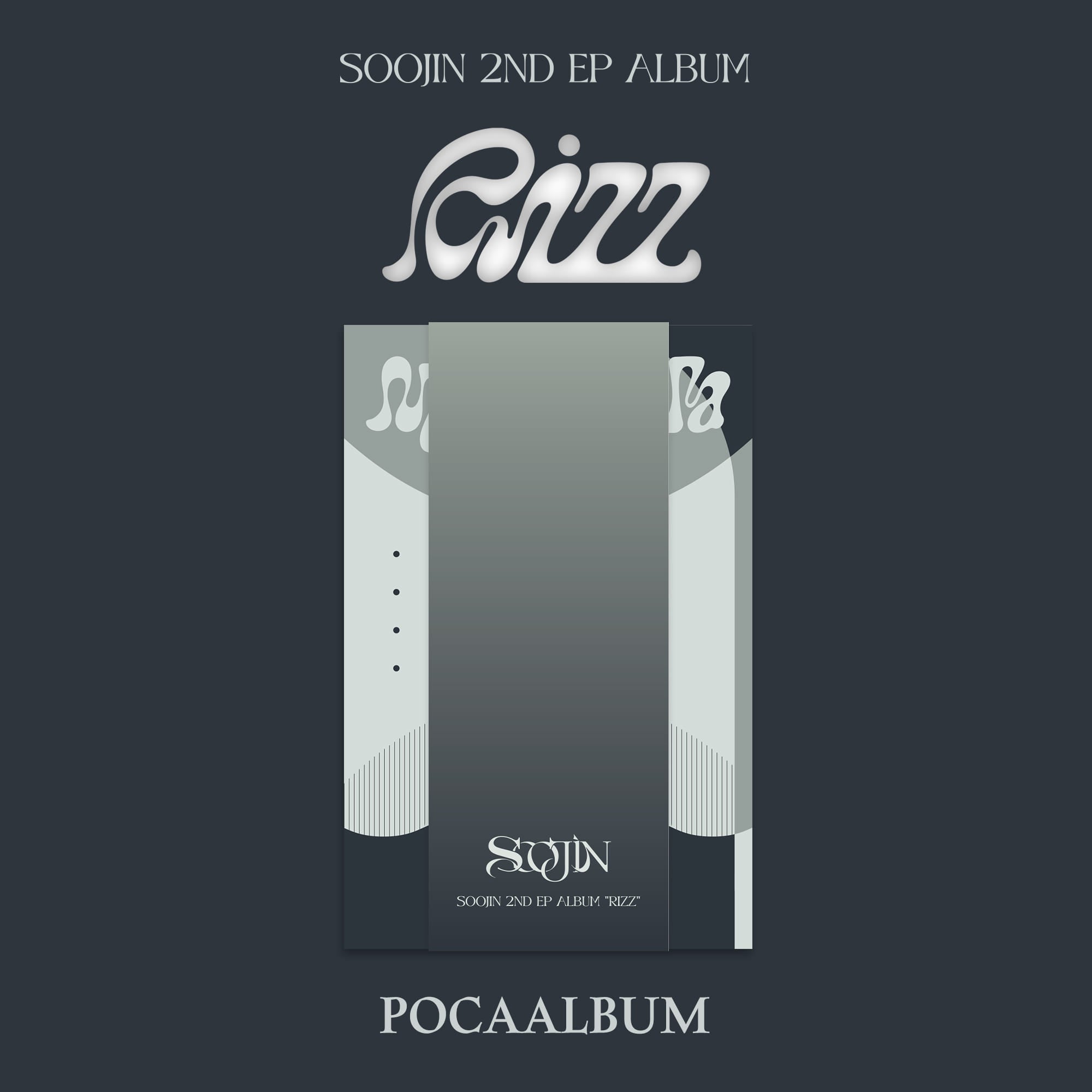 RIZZ [2nd EP] [POCAALBUM] – Aidol House