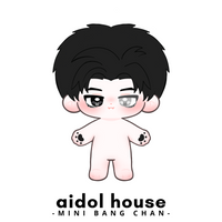 [PREORDER] Mini Bang Chan Plushie