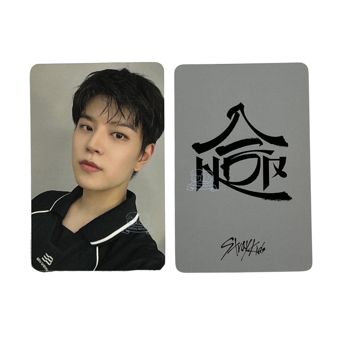 Seungmin POB Photocard [SKZHOP HIPTAPE]