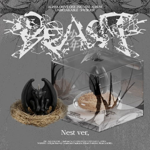 UNBREAKABLE : 少年 BEAST [2nd Mini] [Nest Ver.] [Limited Edition]
