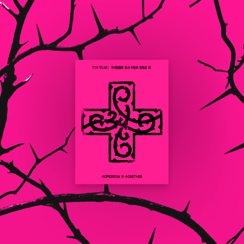 7TH YEAR : 가시덤불에 잠시 바람이 멈췄을 때 [8th Mini] [PPULBATU Ver.] [Weverse Albums Ver.]